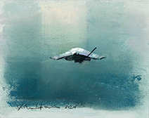 John Harris | Glide Path